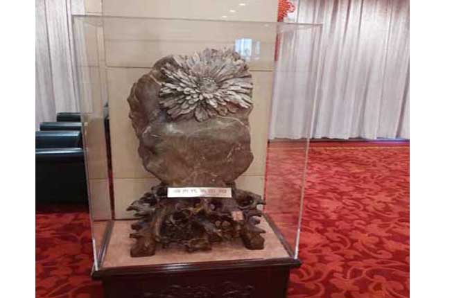 ˇ�g(sh��)Ʒ�o(h��)��